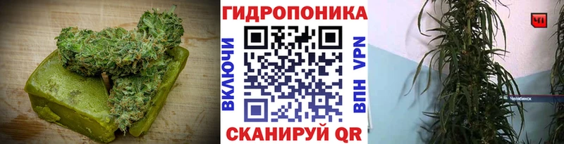 Cannafood марихуана  кракен   Сергач  где найти  