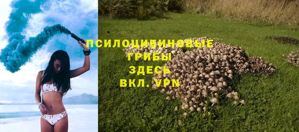 молекула духа Армянск