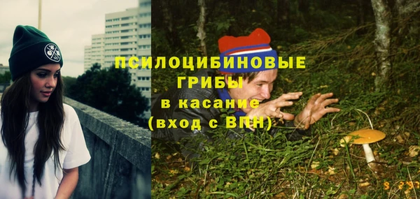 не бодяженный Няндома