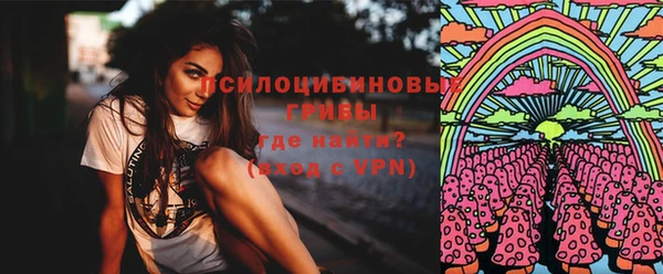 МДПВ Белокуриха