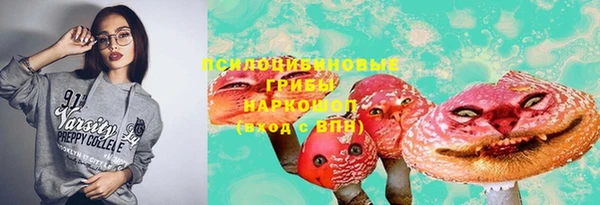 бошки Баксан
