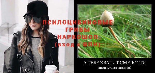 бошки Баксан