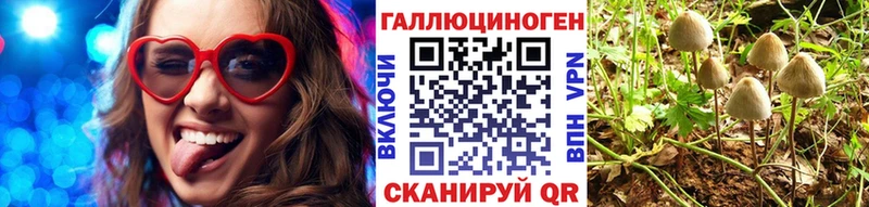 Псилоцибиновые грибы MAGIC MUSHROOMS  Сергач 